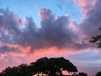 a sunset with a pink sky and trees in the background